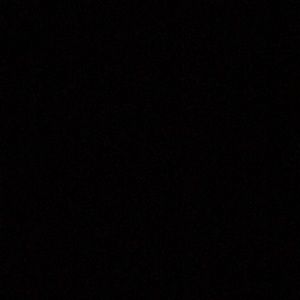 Meet your Posher, Callie